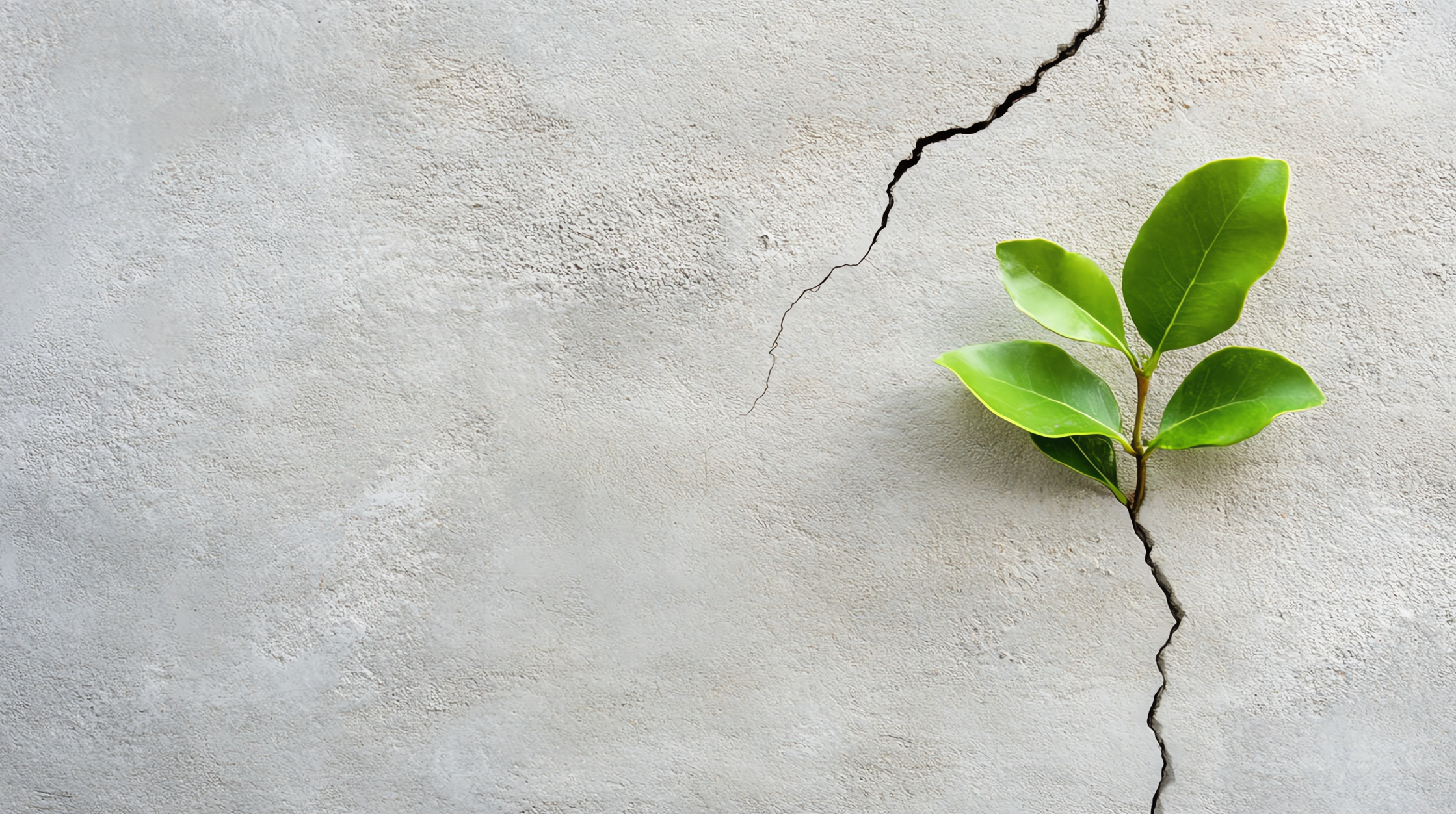 Resilienza Digitale